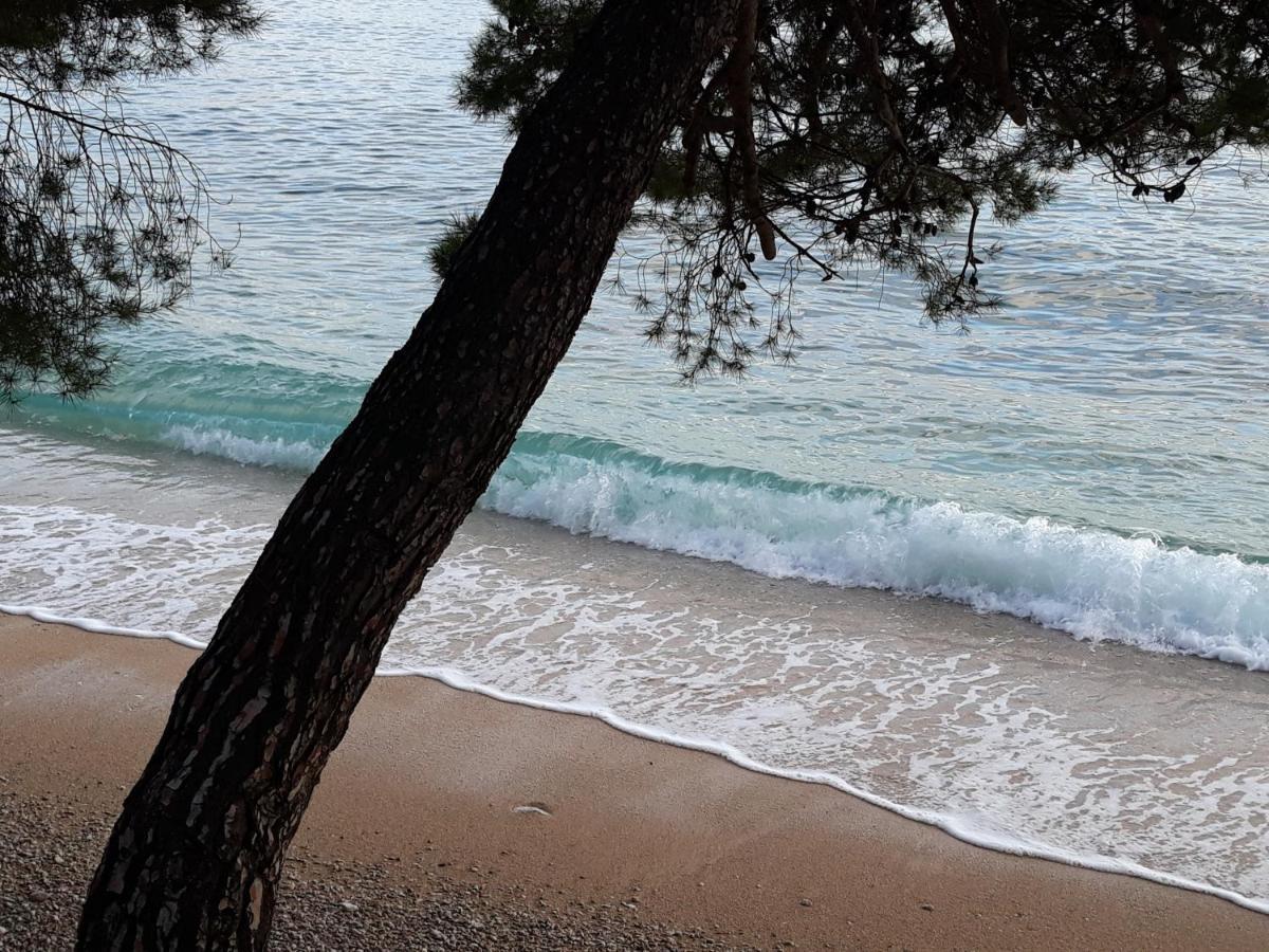 Studio With Magic View Podgora Εξωτερικό φωτογραφία