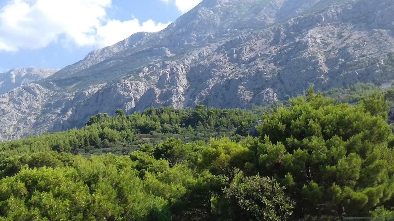 Studio With Magic View Podgora Εξωτερικό φωτογραφία