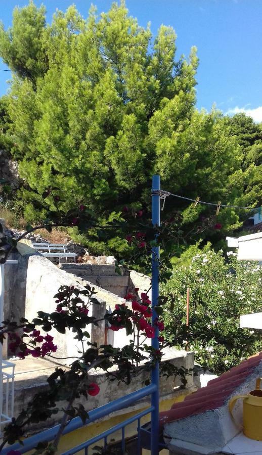 Studio With Magic View Podgora Εξωτερικό φωτογραφία